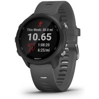 Garmin - Forerunner 245, Slate Gray